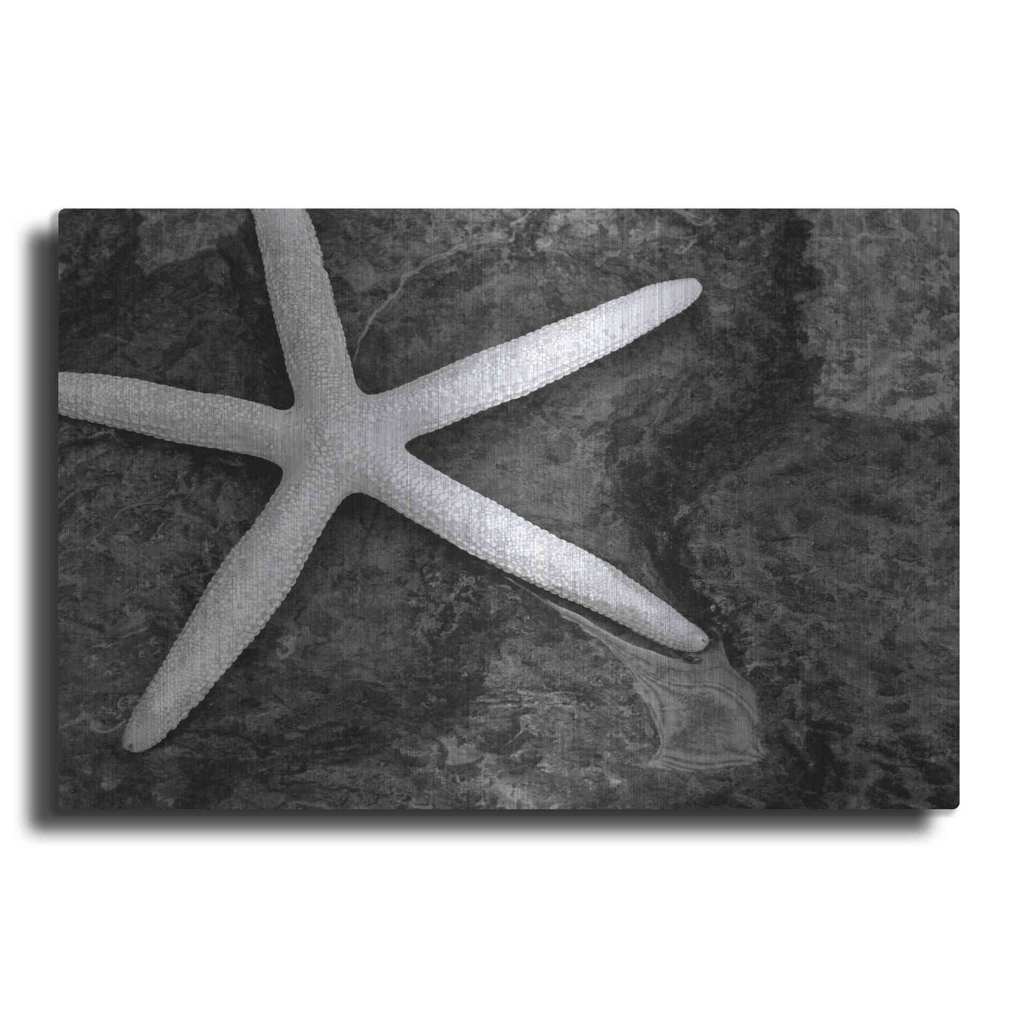 Luxe Metal Art 'Explore' by Debra Van Swearingen, Metal Wall Art