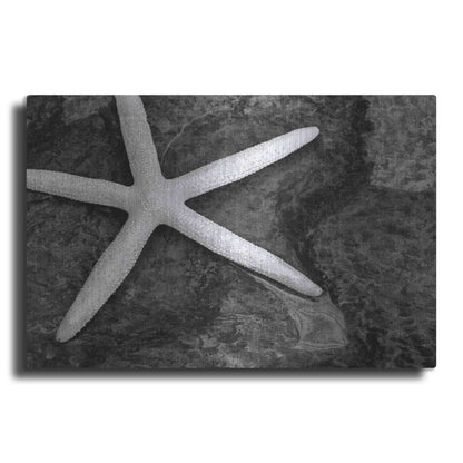 Luxe Metal Art 'Explore' by Debra Van Swearingen, Metal Wall Art