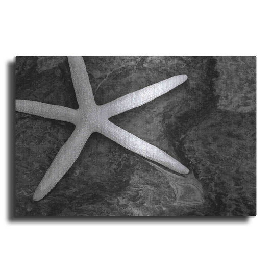 Luxe Metal Art 'Explore' by Debra Van Swearingen, Metal Wall Art