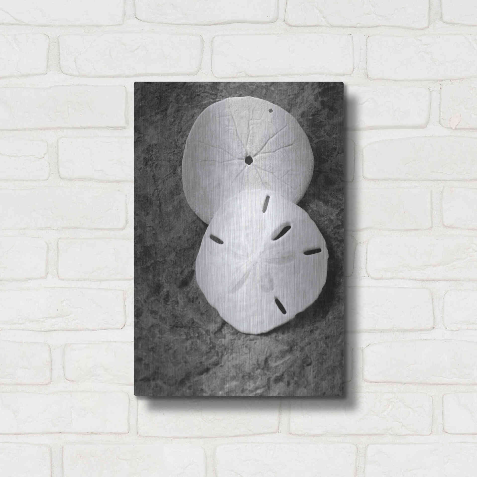 Luxe Metal Art 'Dream' by Debra Van Swearingen, Metal Wall Art,12x16