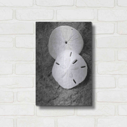 Luxe Metal Art 'Dream' by Debra Van Swearingen, Metal Wall Art,12x16