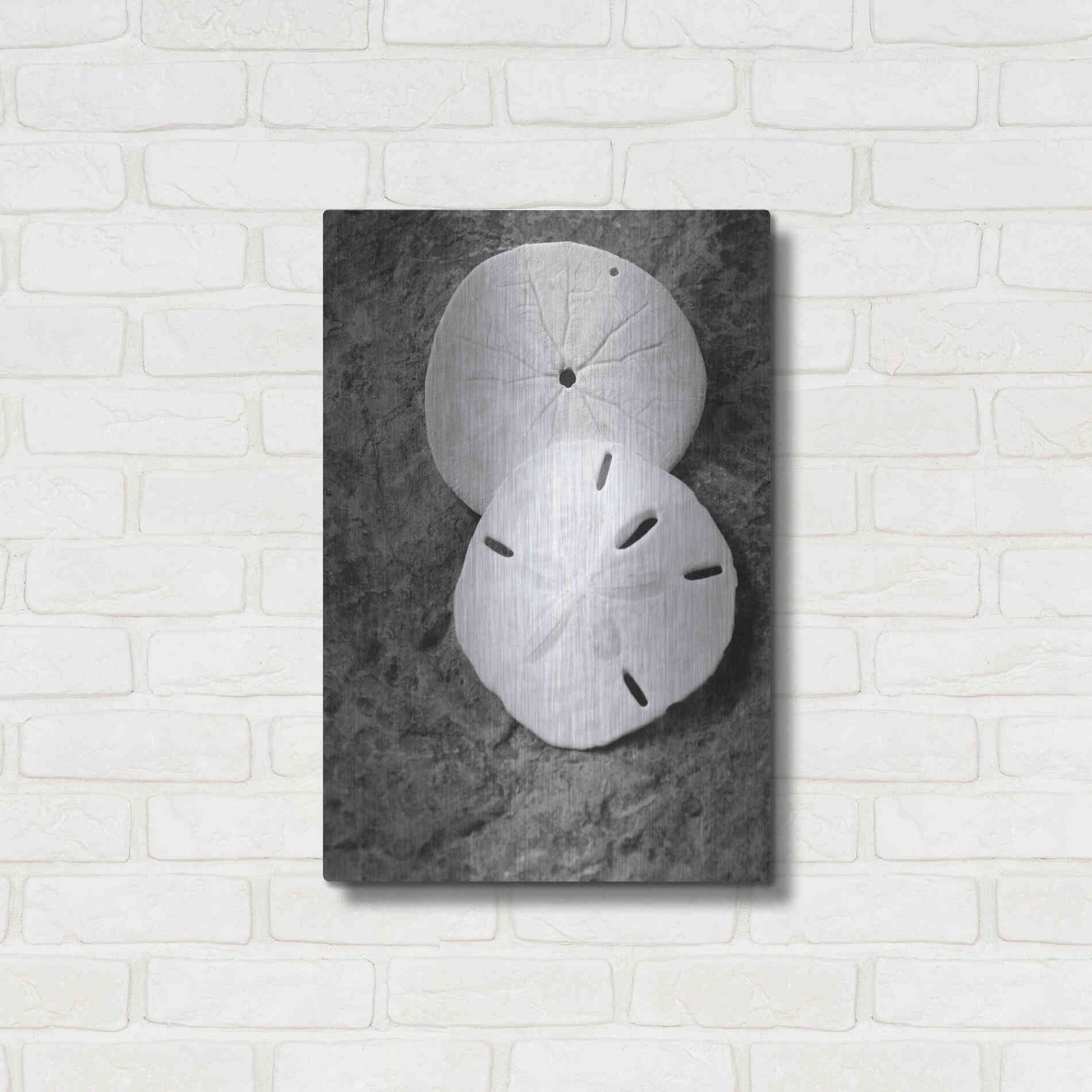 Luxe Metal Art 'Dream' by Debra Van Swearingen, Metal Wall Art,16x24