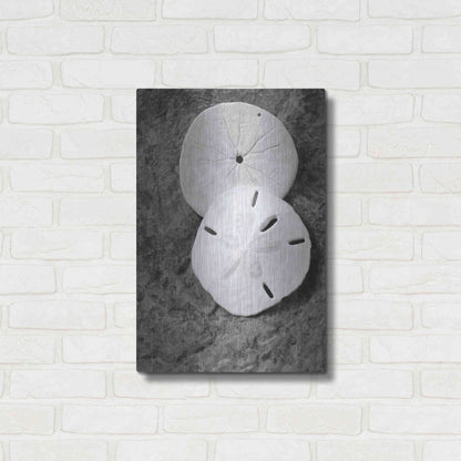 Luxe Metal Art 'Dream' by Debra Van Swearingen, Metal Wall Art,16x24