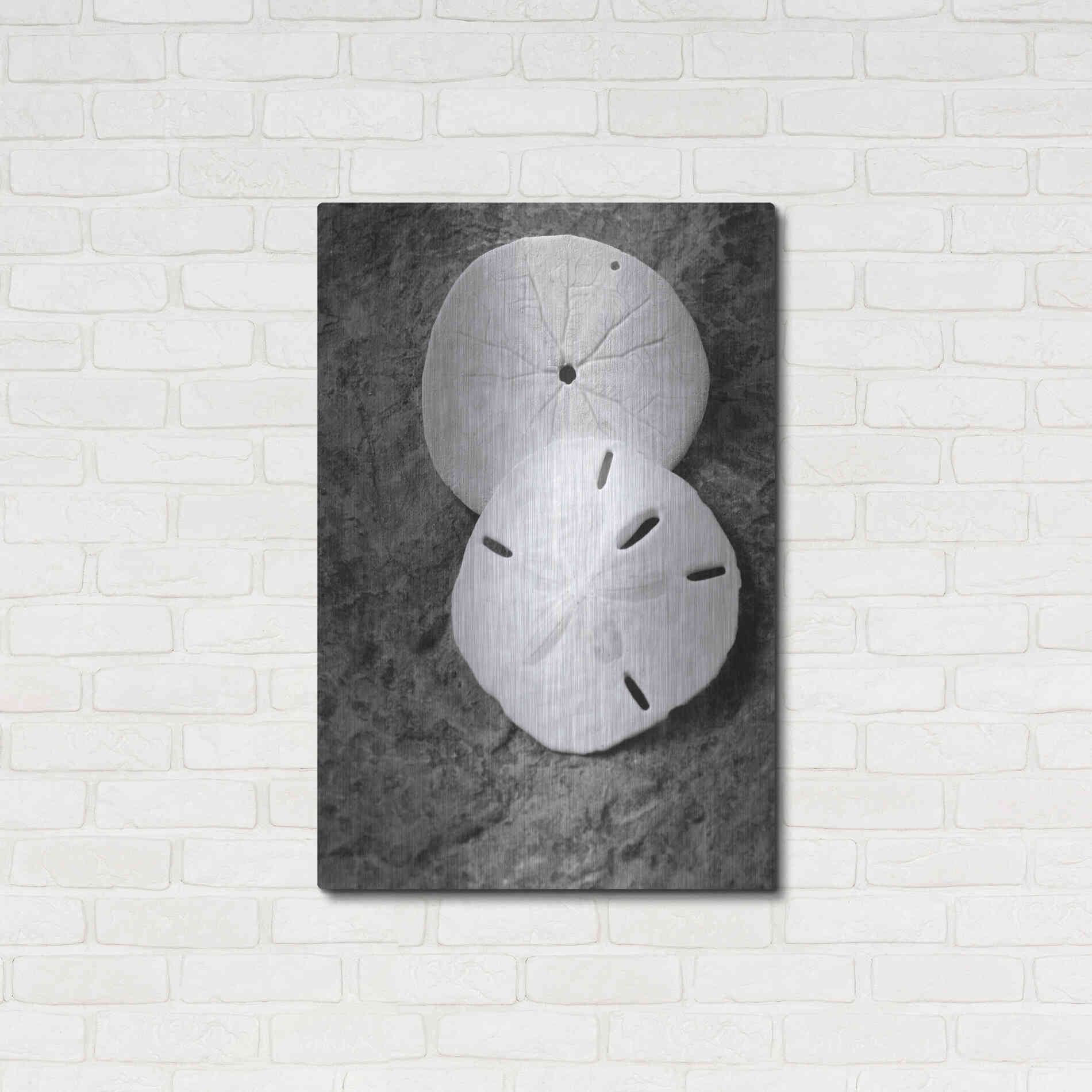 Luxe Metal Art 'Dream' by Debra Van Swearingen, Metal Wall Art,24x36