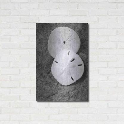 Luxe Metal Art 'Dream' by Debra Van Swearingen, Metal Wall Art,24x36