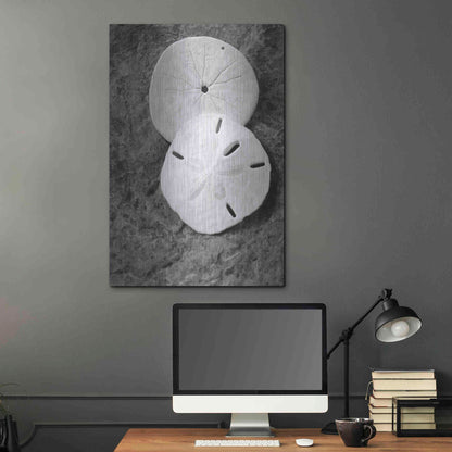 Luxe Metal Art 'Dream' by Debra Van Swearingen, Metal Wall Art,24x36