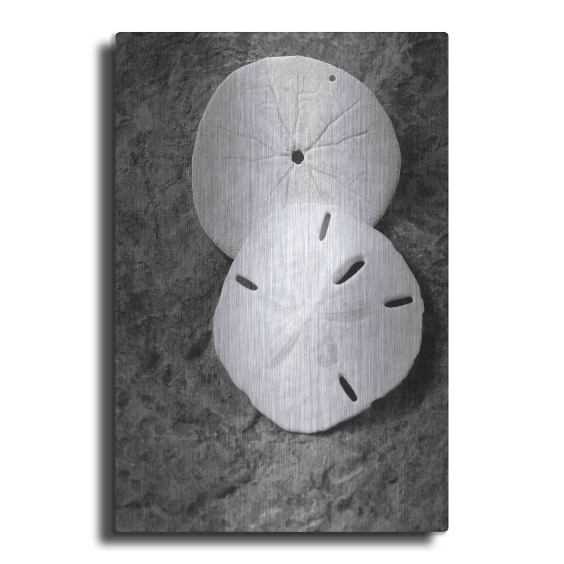 Luxe Metal Art 'Dream' by Debra Van Swearingen, Metal Wall Art