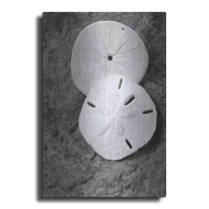 Luxe Metal Art 'Dream' by Debra Van Swearingen, Metal Wall Art