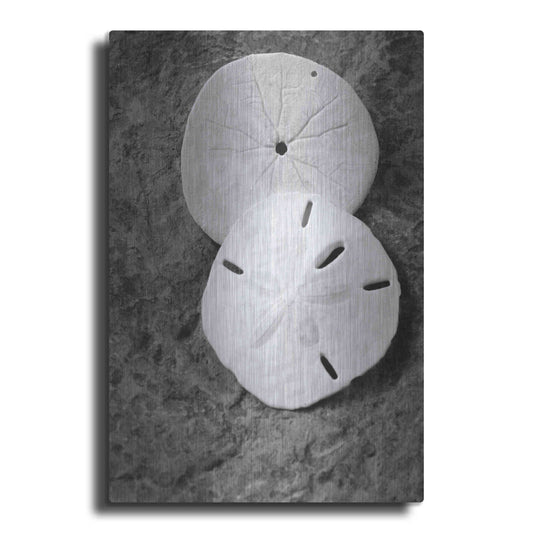 Luxe Metal Art 'Dream' by Debra Van Swearingen, Metal Wall Art