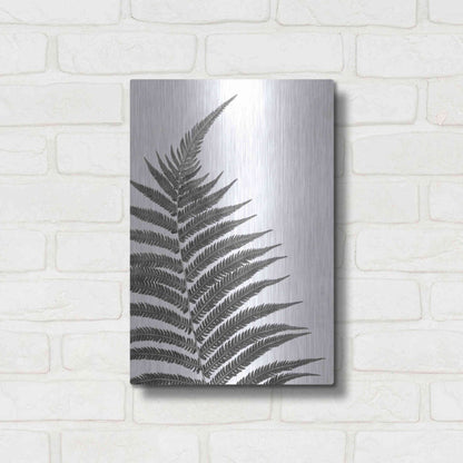 Luxe Metal Art 'Truth' by Debra Van Swearingen, Metal Wall Art,12x16