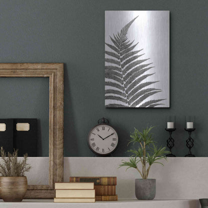 Luxe Metal Art 'Truth' by Debra Van Swearingen, Metal Wall Art,12x16