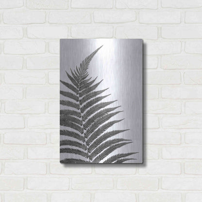 Luxe Metal Art 'Truth' by Debra Van Swearingen, Metal Wall Art,16x24
