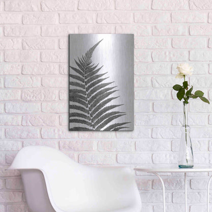 Luxe Metal Art 'Truth' by Debra Van Swearingen, Metal Wall Art,16x24