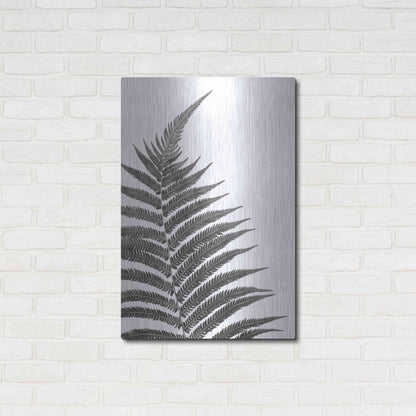 Luxe Metal Art 'Truth' by Debra Van Swearingen, Metal Wall Art,24x36