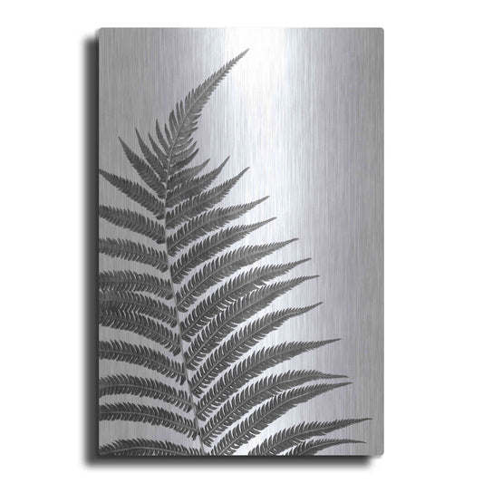 Luxe Metal Art 'Truth' by Debra Van Swearingen, Metal Wall Art