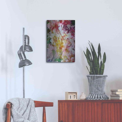 Luxe Metal Art 'Bloomin Babes' by Shandra Smith, Metal Wall Art,16x24