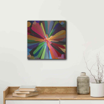 Luxe Metal Art 'Flower 12' by Shandra Smith, Metal Wall Art,12x12