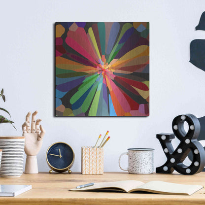 Luxe Metal Art 'Flower 12' by Shandra Smith, Metal Wall Art,12x12