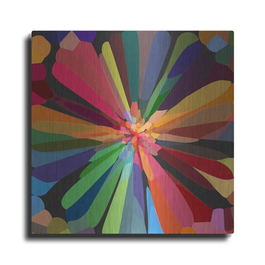 Luxe Metal Art 'Flower 12' by Shandra Smith, Metal Wall Art