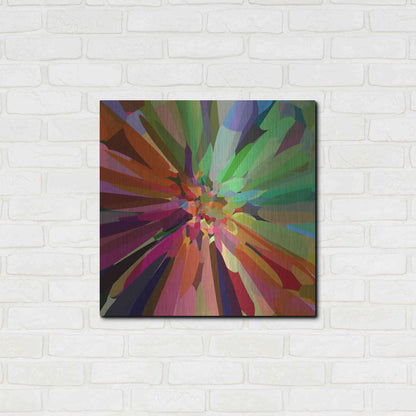 Luxe Metal Art 'Flower 27 'by Shandra Smith, Metal Wall Art,24x24