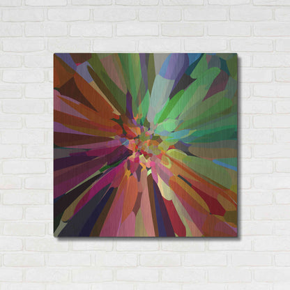 Luxe Metal Art 'Flower 27 'by Shandra Smith, Metal Wall Art,36x36