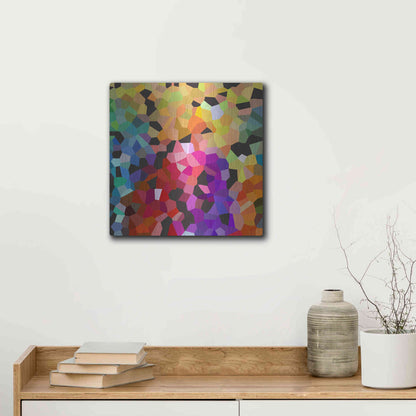 Luxe Metal Art 'Fooling Around' by Shandra Smith, Metal Wall Art,12x12