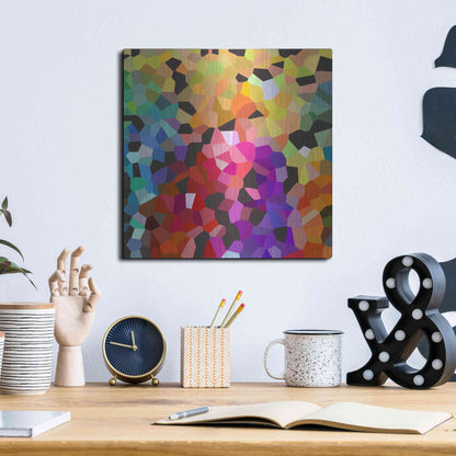 Luxe Metal Art 'Fooling Around' by Shandra Smith, Metal Wall Art,12x12