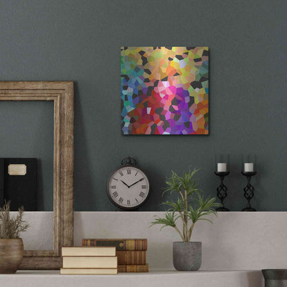 Luxe Metal Art 'Fooling Around' by Shandra Smith, Metal Wall Art,12x12