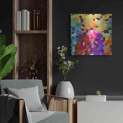 Luxe Metal Art 'Fooling Around' by Shandra Smith, Metal Wall Art,24x24