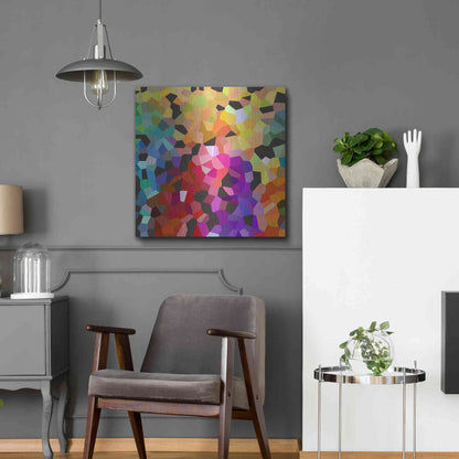 Luxe Metal Art 'Fooling Around' by Shandra Smith, Metal Wall Art,24x24