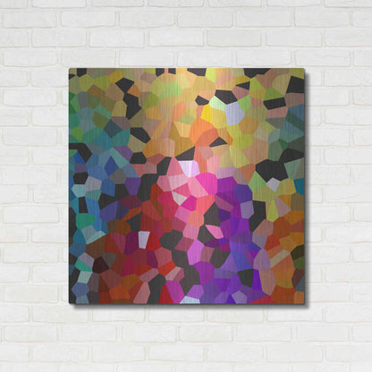 Luxe Metal Art 'Fooling Around' by Shandra Smith, Metal Wall Art,36x36