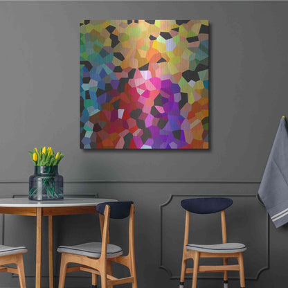 Luxe Metal Art 'Fooling Around' by Shandra Smith, Metal Wall Art,36x36