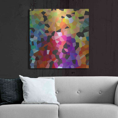 Luxe Metal Art 'Fooling Around' by Shandra Smith, Metal Wall Art,36x36