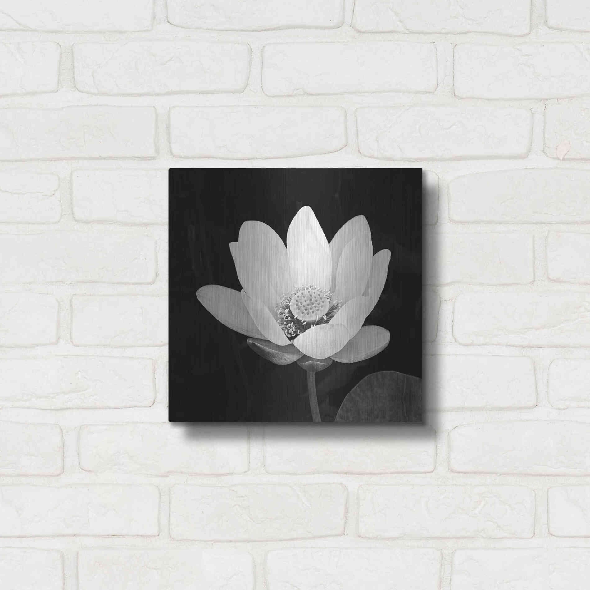 Luxe Metal Art 'Lotus Flower I' by Debra Van Swearingen, Metal Wall Art,12x12