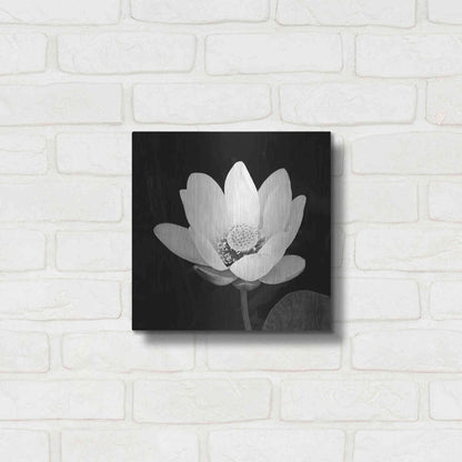 Luxe Metal Art 'Lotus Flower I' by Debra Van Swearingen, Metal Wall Art,12x12