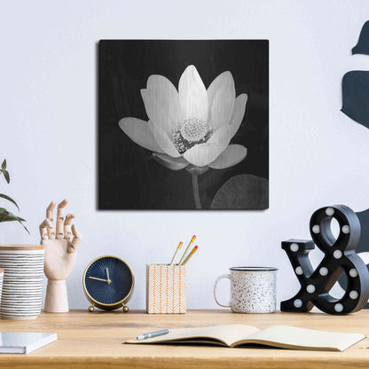 Luxe Metal Art 'Lotus Flower I' by Debra Van Swearingen, Metal Wall Art,12x12