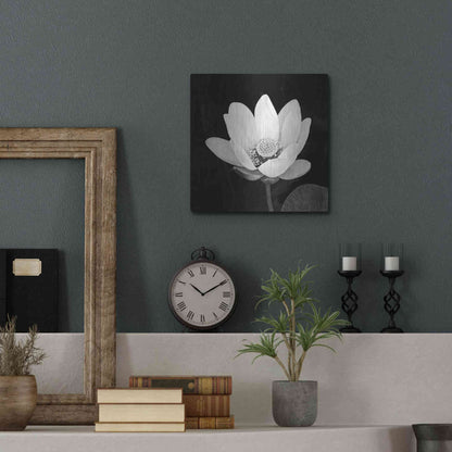 Luxe Metal Art 'Lotus Flower I' by Debra Van Swearingen, Metal Wall Art,12x12