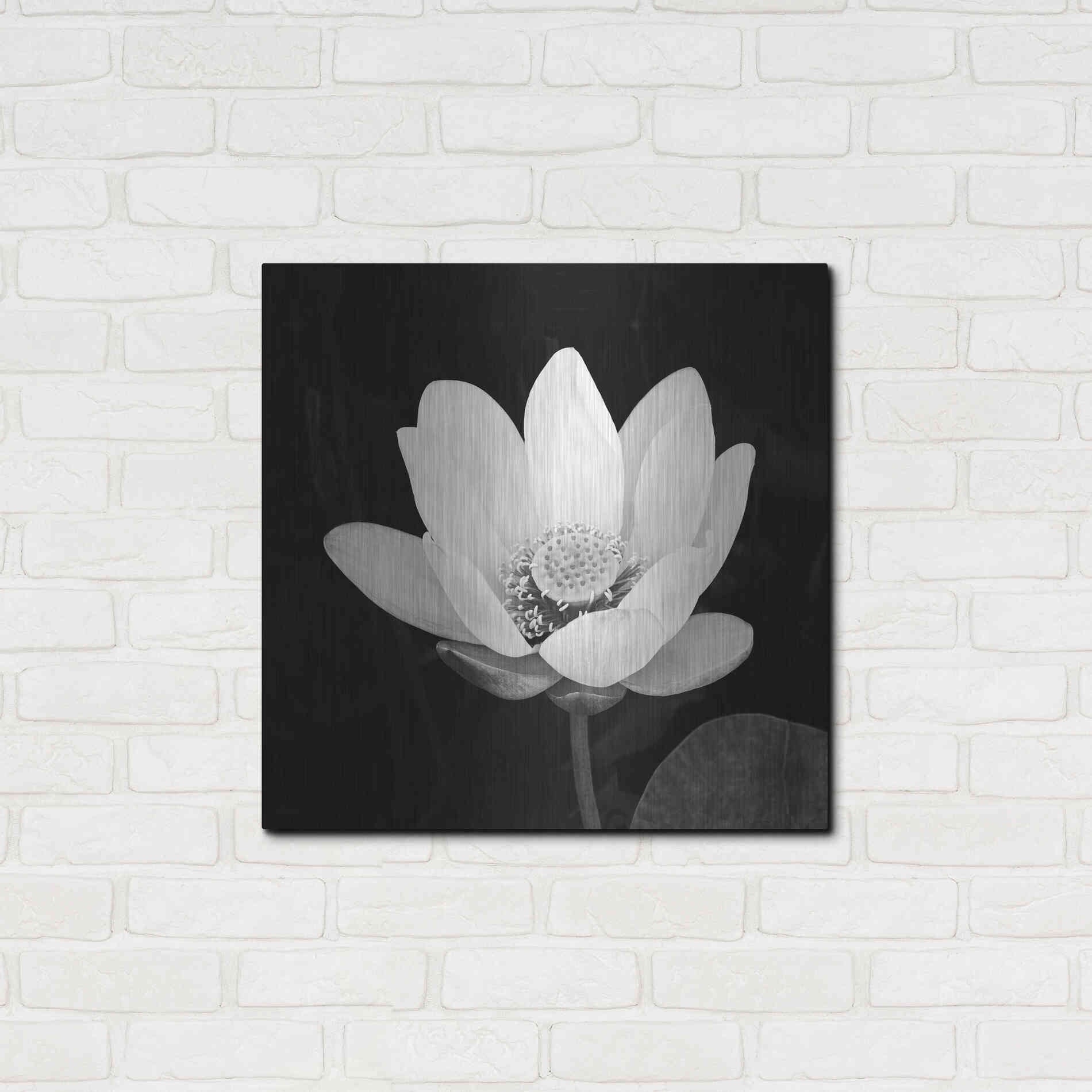 Luxe Metal Art 'Lotus Flower I' by Debra Van Swearingen, Metal Wall Art,24x24