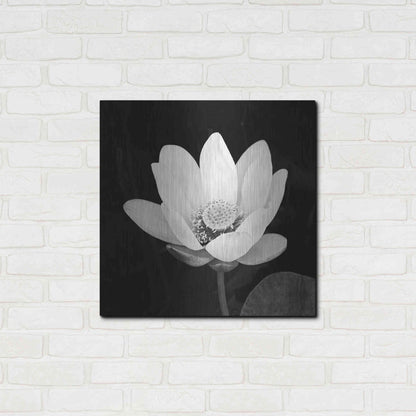 Luxe Metal Art 'Lotus Flower I' by Debra Van Swearingen, Metal Wall Art,24x24