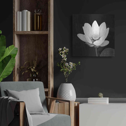 Luxe Metal Art 'Lotus Flower I' by Debra Van Swearingen, Metal Wall Art,24x24