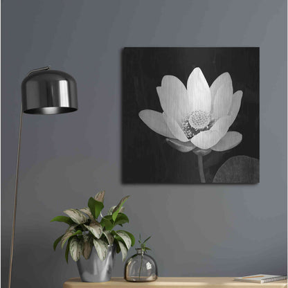 Luxe Metal Art 'Lotus Flower I' by Debra Van Swearingen, Metal Wall Art,24x24