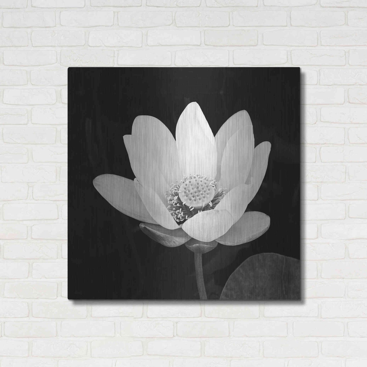 Luxe Metal Art 'Lotus Flower I' by Debra Van Swearingen, Metal Wall Art,36x36