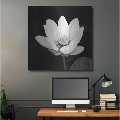 Luxe Metal Art 'Lotus Flower I' by Debra Van Swearingen, Metal Wall Art,36x36