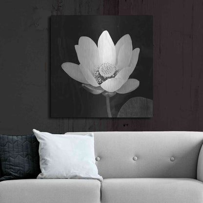 Luxe Metal Art 'Lotus Flower I' by Debra Van Swearingen, Metal Wall Art,36x36