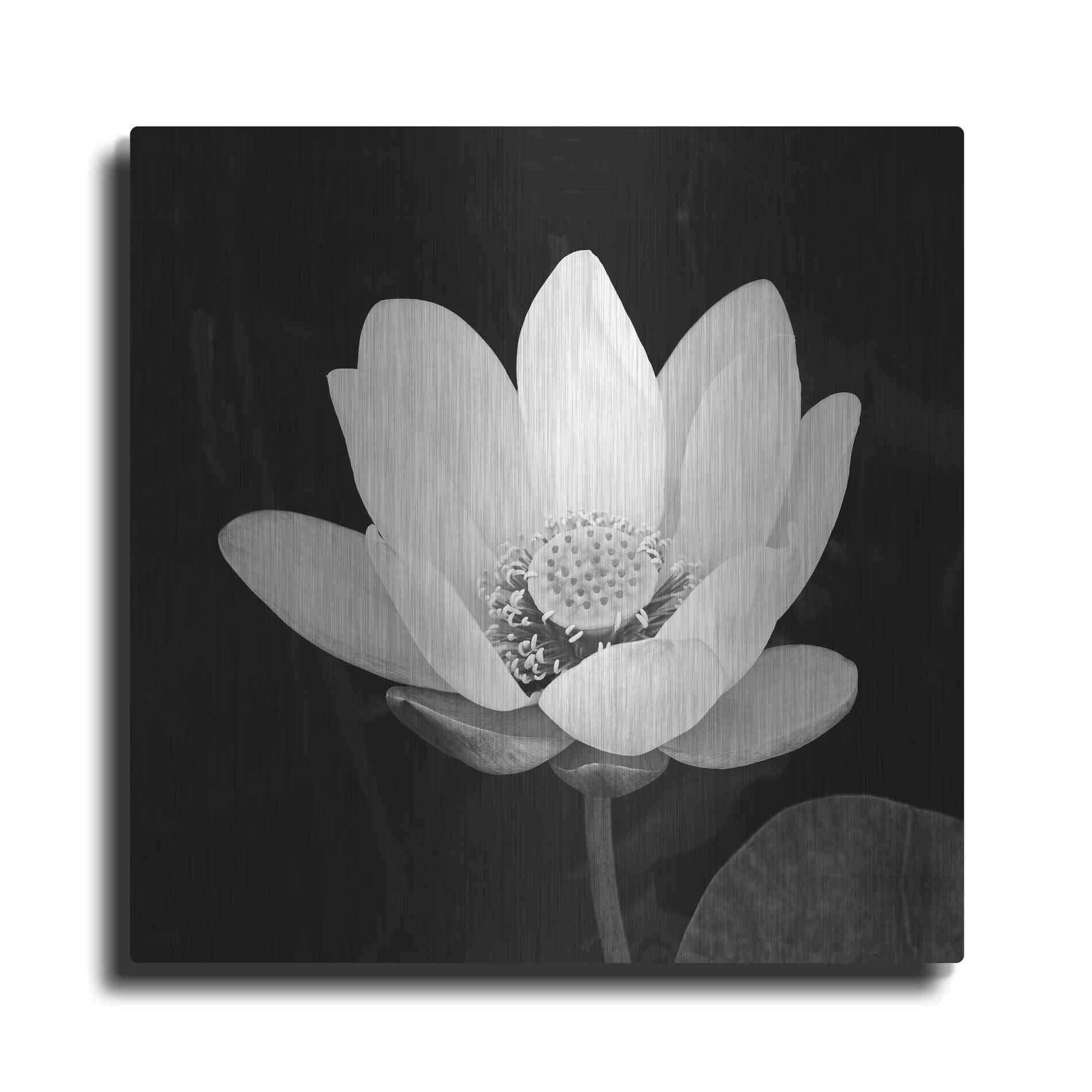 Luxe Metal Art 'Lotus Flower I' by Debra Van Swearingen, Metal Wall Art