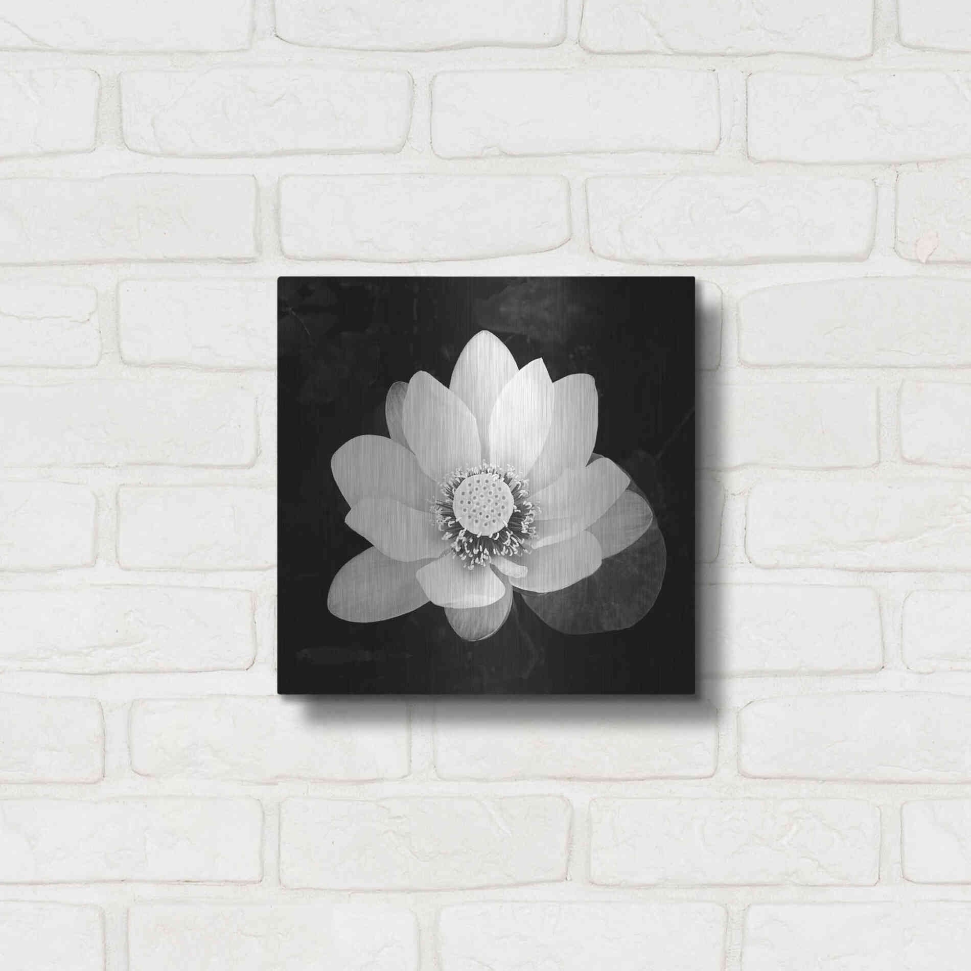 Luxe Metal Art 'Lotus Flower II' by Debra Van Swearingen, Metal Wall Art,12x12