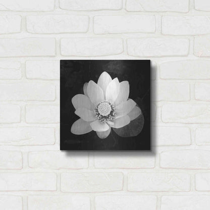 Luxe Metal Art 'Lotus Flower II' by Debra Van Swearingen, Metal Wall Art,12x12