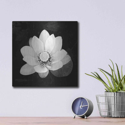 Luxe Metal Art 'Lotus Flower II' by Debra Van Swearingen, Metal Wall Art,12x12
