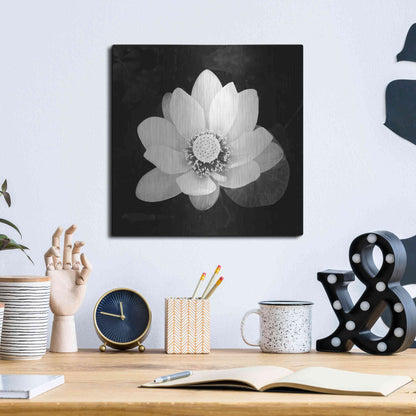 Luxe Metal Art 'Lotus Flower II' by Debra Van Swearingen, Metal Wall Art,12x12