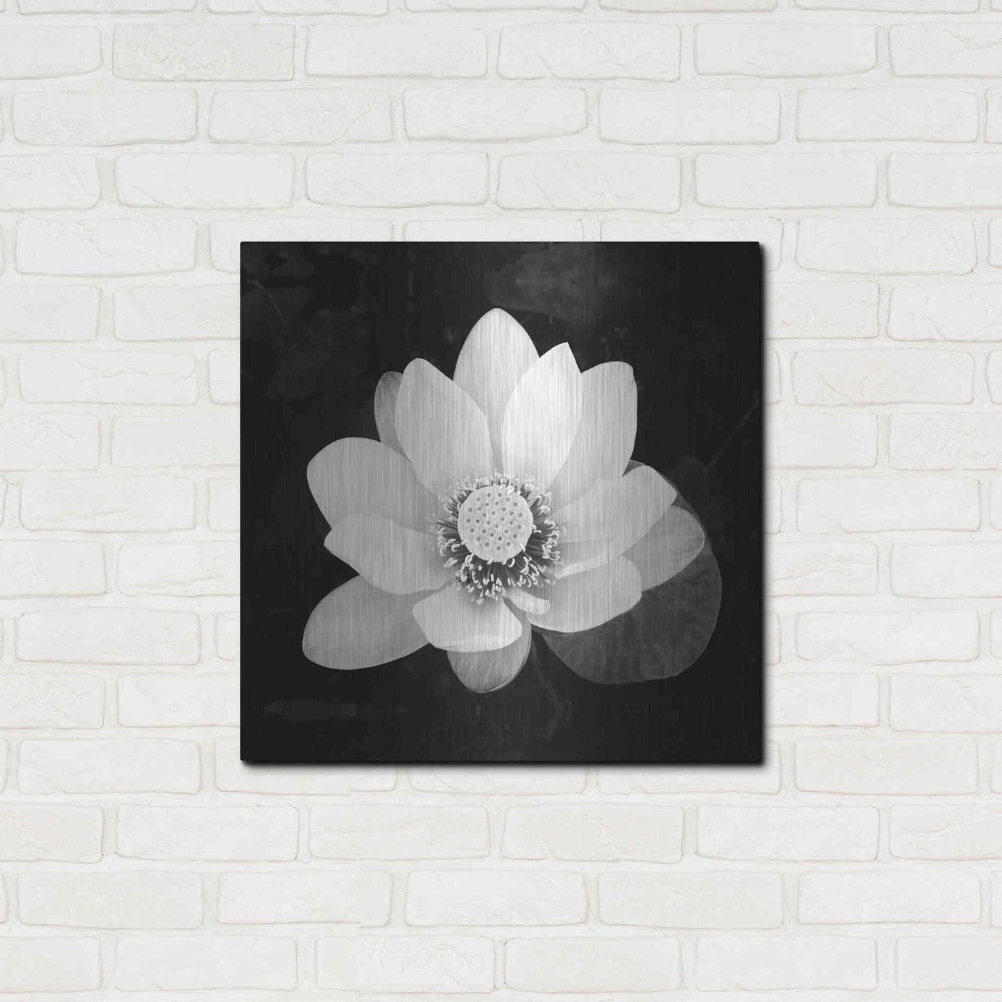 Luxe Metal Art 'Lotus Flower II' by Debra Van Swearingen, Metal Wall Art,24x24